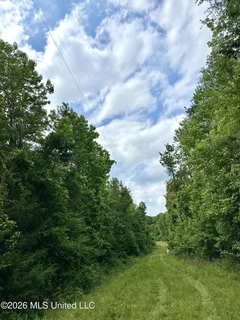 Owens Cut-off Road, Durant, MS 39063 photo 4