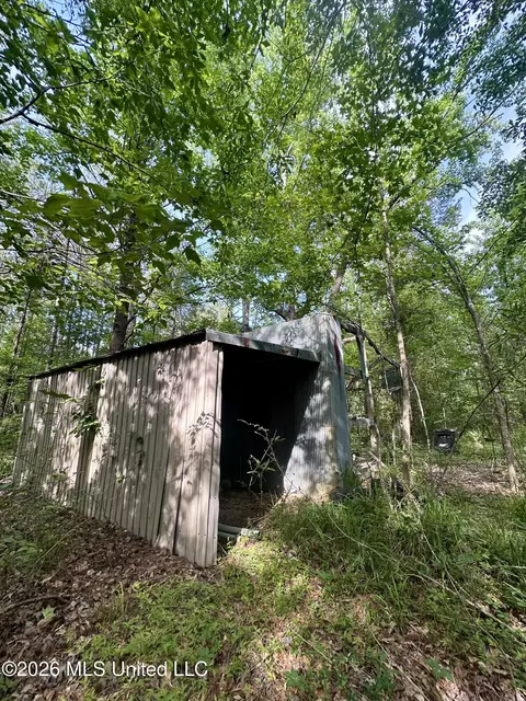 Owens Cut-off Road, Durant, MS 39063 photo 6