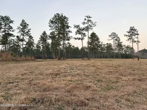 Greenfields Road, Moss Point, MS 39562 photo 8