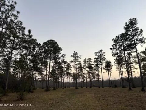 Greenfields Road, Moss Point, MS 39562 photo 6
