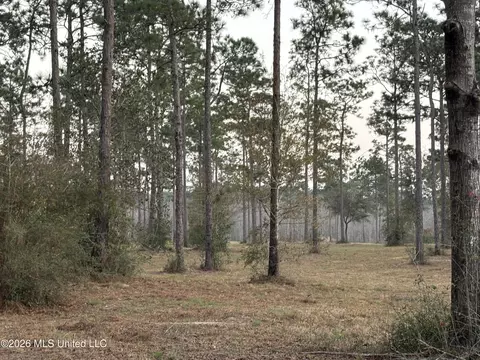 Greenfields Road, Moss Point, MS 39562 photo 2