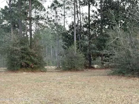 Greenfields Road, Moss Point, MS 39562 photo 4