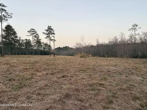 Greenfields Road, Moss Point, MS 39562 photo 7