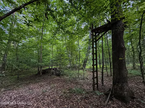 Triplett, Ackerman, MS 39735 photo 62