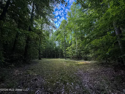 Triplett, Ackerman, MS 39735 photo 77