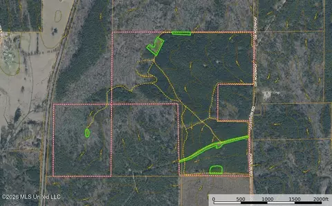 Triplett, Ackerman, MS 39735 photo 2