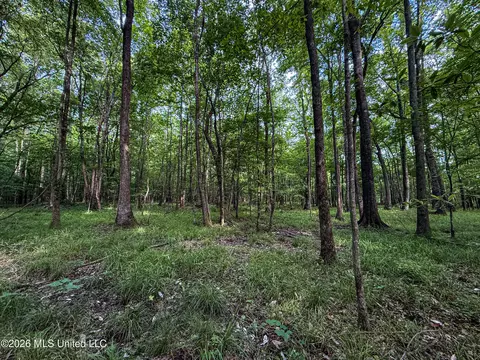 Triplett, Ackerman, MS 39735 photo 68