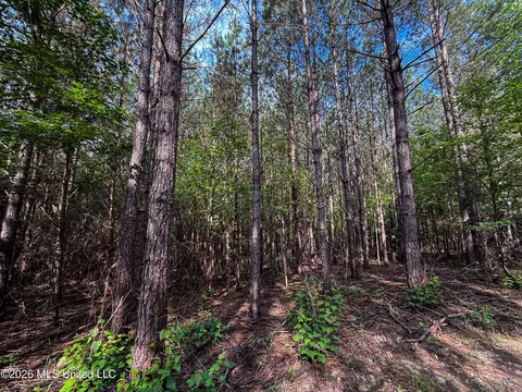 Triplett, Ackerman, MS 39735 photo 50