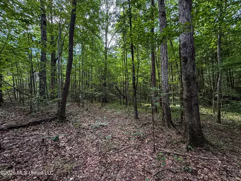 Triplett, Ackerman, MS 39735 photo 21