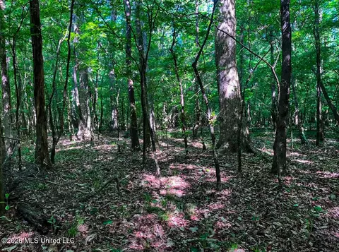 Triplett, Ackerman, MS 39735 photo 76