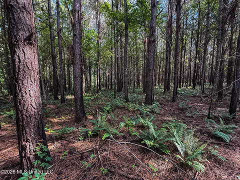 Triplett, Ackerman, MS 39735 photo 15