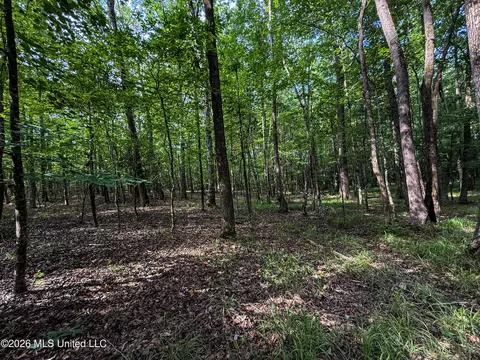 Triplett, Ackerman, MS 39735 photo 64