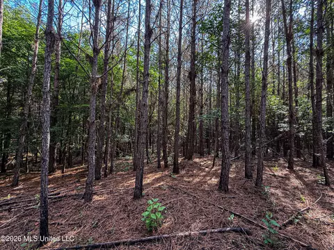 Triplett, Ackerman, MS 39735 photo 44