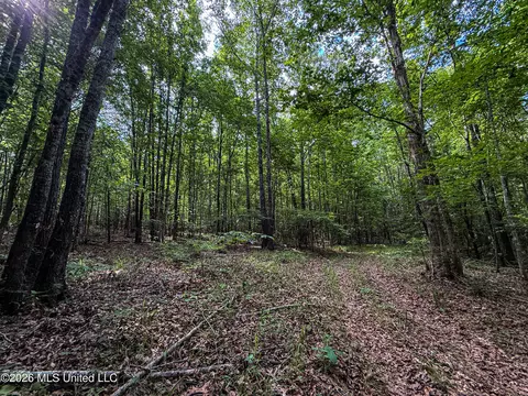 Triplett, Ackerman, MS 39735 photo 74