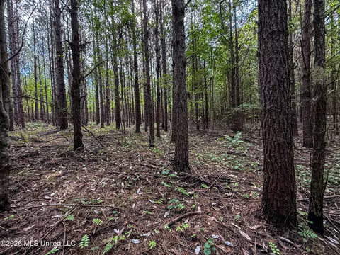 Triplett, Ackerman, MS 39735 photo 24