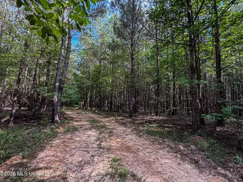 Triplett, Ackerman, MS 39735 photo 52