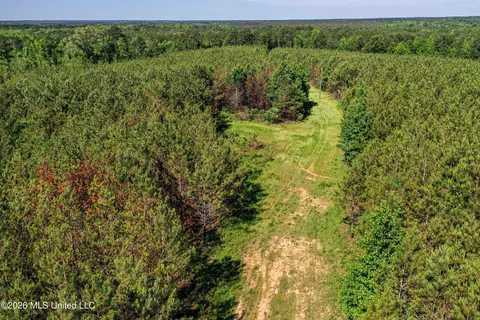 Triplett, Ackerman, MS 39735 photo 45