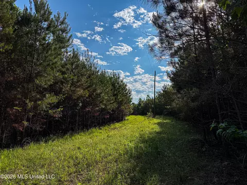 Triplett, Ackerman, MS 39735 photo 32