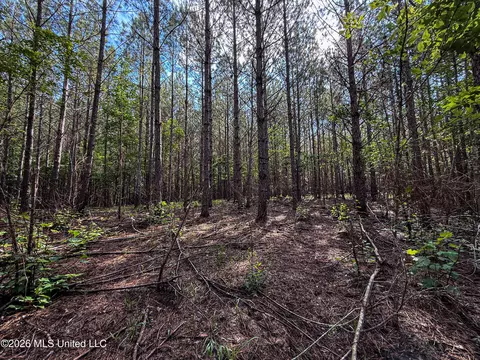 Triplett, Ackerman, MS 39735 photo 48