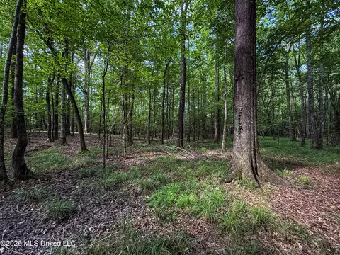 Triplett, Ackerman, MS 39735 photo 9