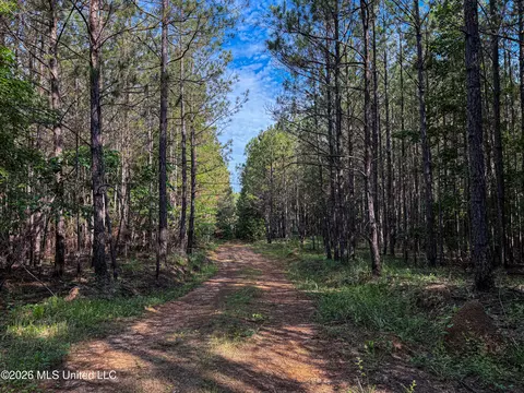 Triplett, Ackerman, MS 39735 photo 20
