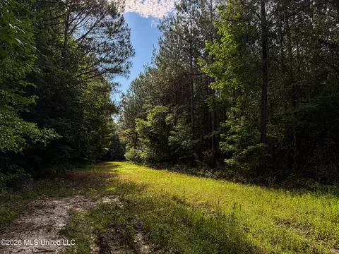 Triplett, Ackerman, MS 39735 photo 56