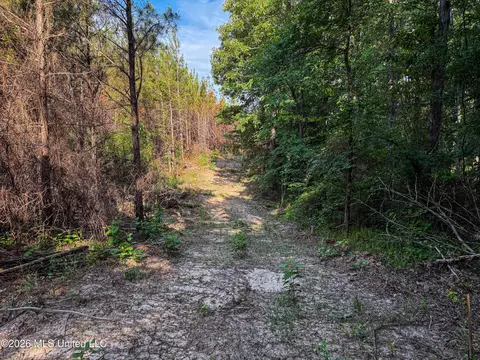 Triplett, Ackerman, MS 39735 photo 36