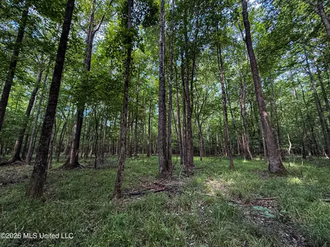 Triplett, Ackerman, MS 39735 photo 66