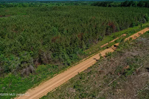 Triplett, Ackerman, MS 39735 photo 49