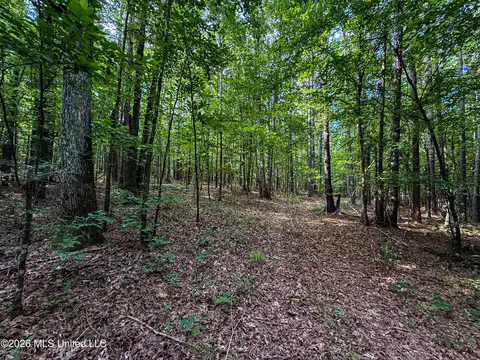 Triplett, Ackerman, MS 39735 photo 72
