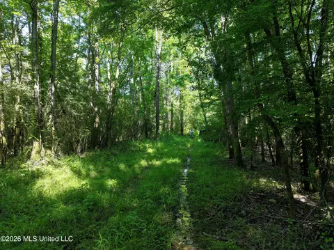 Us-51, Bogue Chitto, MS 39629