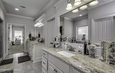 Bath - 518 Devereaux Dr, Brandon, MS 39042 photo 7 of 7