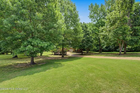 Exterior - 8 E Crockett Loop, Hernando, MS 38632 photo 14 of 15