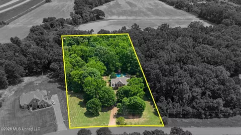 View/Area - 8 E Crockett Loop, Hernando, MS 38632 photo 3 of 3