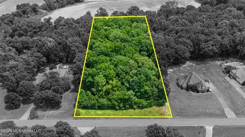 105 E Crockett Loop, Hernando, MS 38632