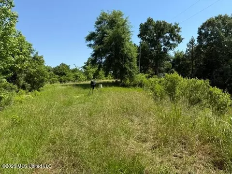 53 Cliffs Plantation Rd, Natchez, MS 39120
