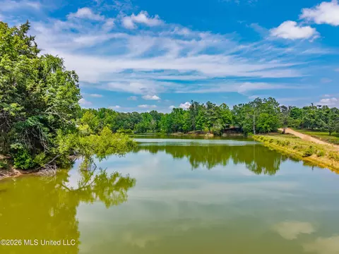 View/Area - 447 Cedar Hts, Pope, MS 38658 photo 2 of 12