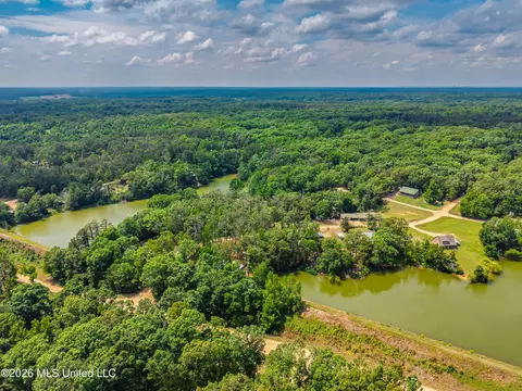 View/Area - 447 Cedar Hts, Pope, MS 38658 photo 8 of 12