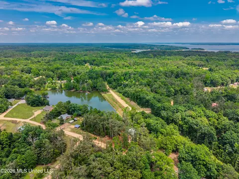 View/Area - 447 Cedar Hts, Pope, MS 38658 photo 11 of 12