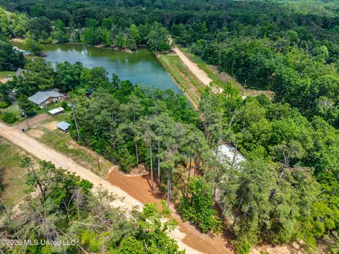 View/Area - 447 Cedar Hts, Pope, MS 38658 photo 6 of 12