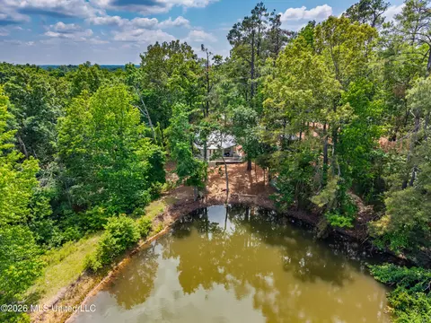 View/Area - 447 Cedar Hts, Pope, MS 38658 photo 4 of 12