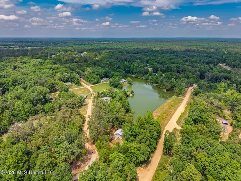 View/Area - 447 Cedar Hts, Pope, MS 38658 photo 7 of 12