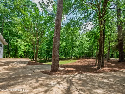 Exterior - 447 Cedar Hts, Pope, MS 38658 photo 11 of 14