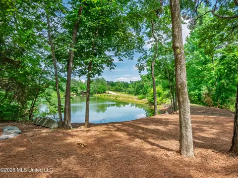 View/Area - 447 Cedar Hts, Pope, MS 38658 photo 1 of 12