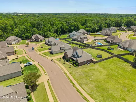 View/Area - 569 Walkers Way, Hernando, MS 38632 photo 1 of 2