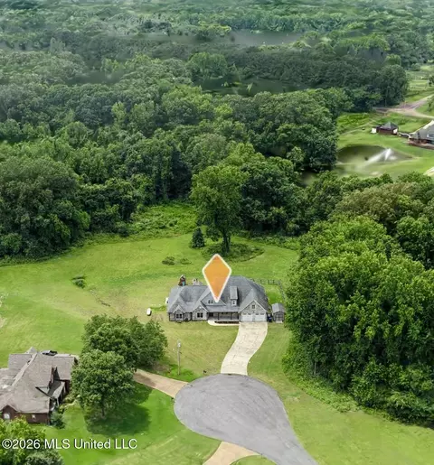 View/Area - 4065 Misty Oaks Cv, Nesbit, MS 38651 photo 2 of 6