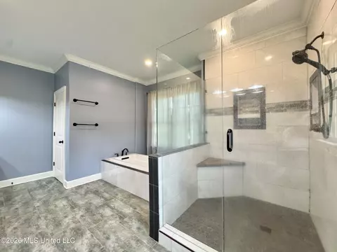Bath - 4065 Misty Oaks Cv, Nesbit, MS 38651 photo 4 of 7