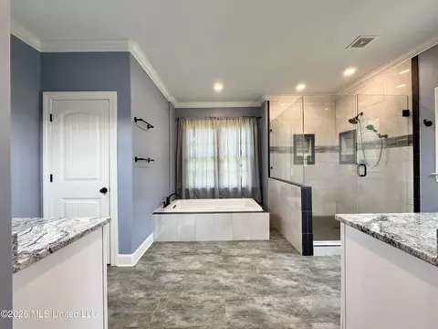 Bath - 4065 Misty Oaks Cv, Nesbit, MS 38651 photo 1 of 7