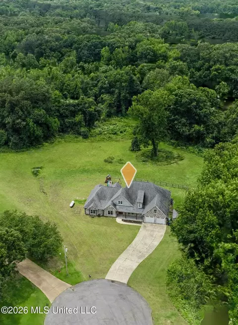View/Area - 4065 Misty Oaks Cv, Nesbit, MS 38651 photo 5 of 6