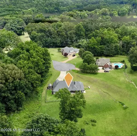 View/Area - 4065 Misty Oaks Cv, Nesbit, MS 38651 photo 6 of 6